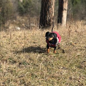 Meet your Posher, Cierra